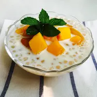 Ilustrasi mango sagoo./Copyright pixabay.com/id/users/zhaona1206-3410142