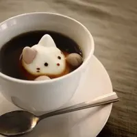 Terdapat di dalam kopi, 'kucing' ini bikin kamu gemas!