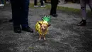 Seekor anjing mengenakan kostum ala nanas saat menghadiri Tompkins Square Halloween Dog Parade di Manhattan, New York City, Amerika Serikat, Minggu (20/10/2019). (Johannes EISELE/AFP)