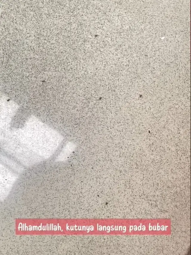 Tanpa Cabai atau Cuka, Begini Cara Hilangkan Kutu pada Beras Secara Efektif