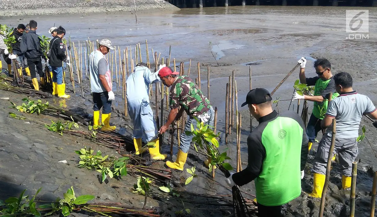 Karyawan dan komunitas menanam 700 pohon mangrove dengan metode cluster untuk memperkuat ekosistem perairan Nusakambangan, Cilacap, Jawa Tengah, (23/4). Kegiatan yang digelar Semen Indonesia dalam rangka memperingati Hari Bumi 2019. (Liputan6.com/Pool/Semen Indonesia)
