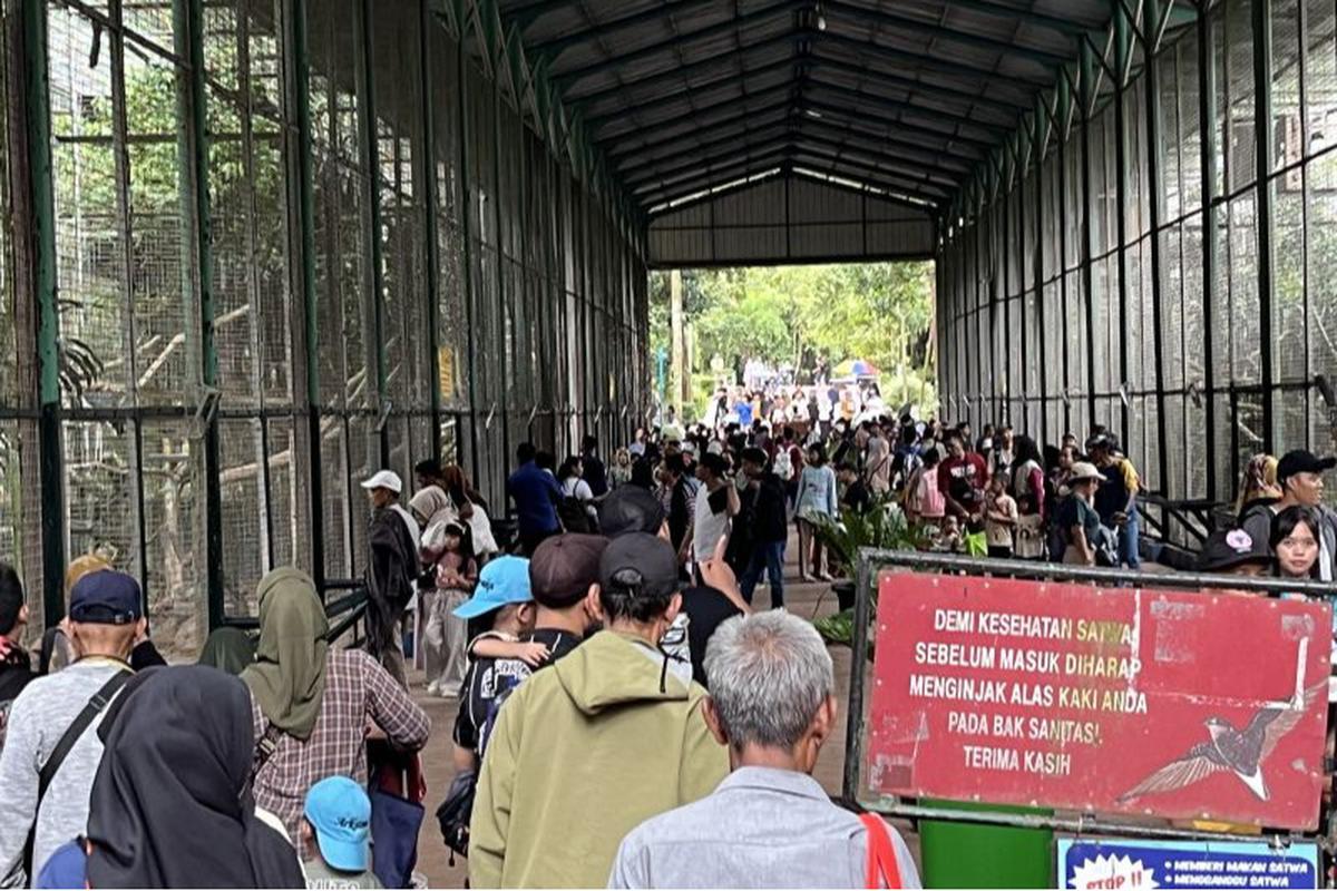 Libur Lebaran, Warga Pilih Berwisata ke Ragunan Karena Murah dan Edukatif