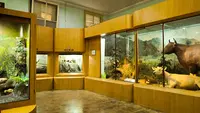 Museum Zoologi Bogor Luncurkan Immerzoa sebagai Ruang Imersif Edukasi Satwa