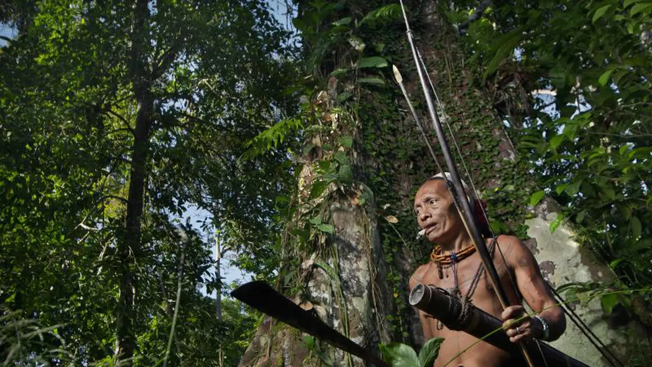 Orang Rimba
