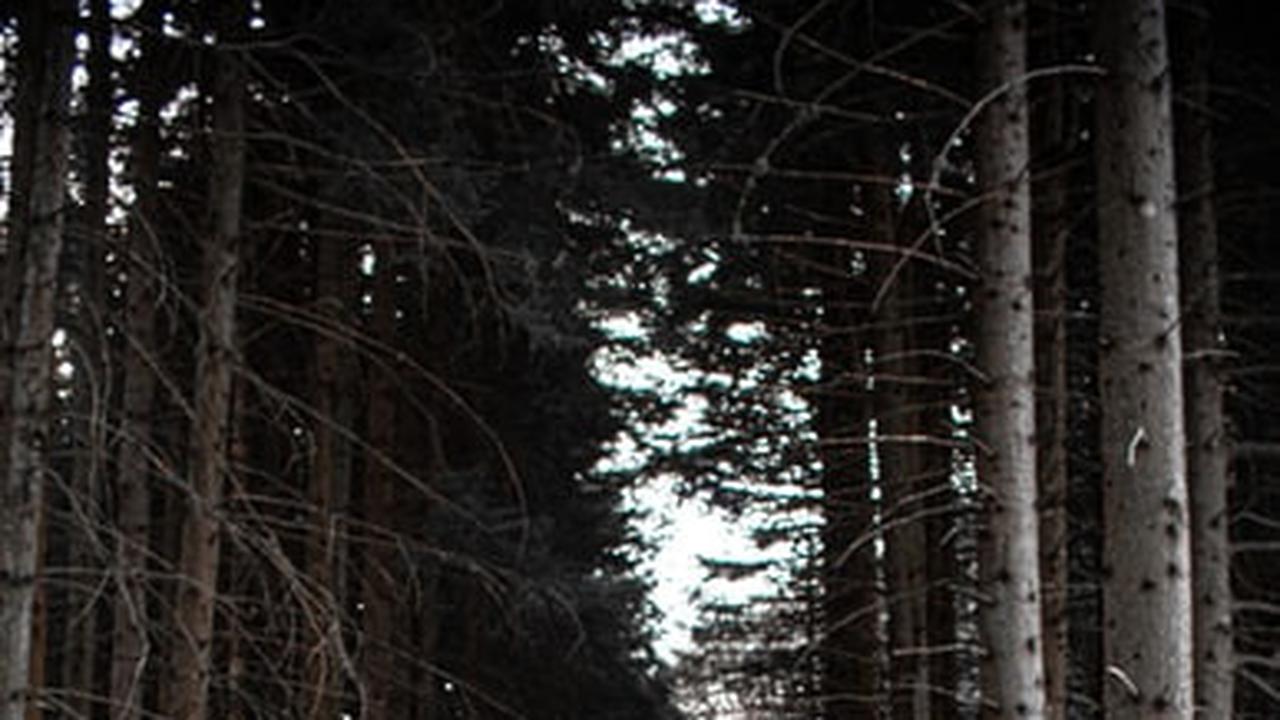 Ilustrasi perkampungan di Tegal