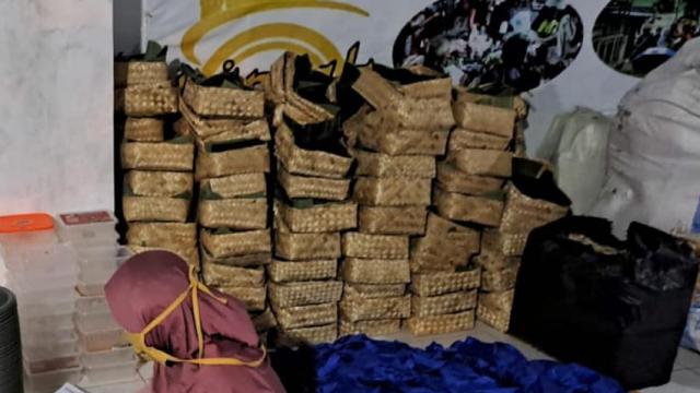 Penyembelihan dan pembagian hewan kurban