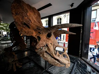 Seorang wanita dan anak melewati galeri di mana triceratops akan dipamerkan menjelang penjualan lelangnya di Paris pada 31 Agustus 2021. Rumah lelang Drouot di Paris akan melelang fosil dinosaurus triceratops terbesar yang dikenal sebagai "Big John" pada Oktober 2021. (Christophe ARCHAMBAULT/AFP)