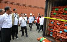 Bawang Bombai Ilegal Asal Belanda Masuk RI, Mentan Amran: Segera Tindak dan Telusuri, Tak Ada Toleransi