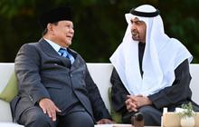 Prabowo dan MBZ Perkuat Hubungan Strategis Indonesia-UEA di Abu Dhabi