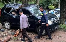 Nahas, Satu Keluarga Tertimpa Pohon Pinus Rapuh saat Mau Berkemah di New Sekipan Karanganyar