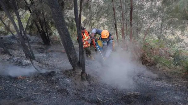 Karhutla Gunung Bromo Capai 550 Hektare