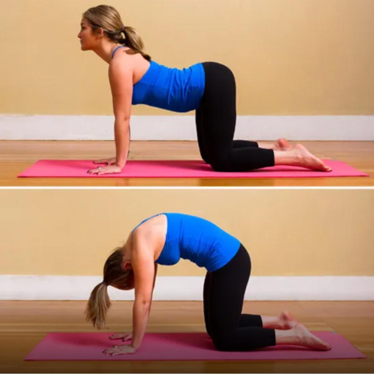 Pose Marjariasana-Bitilasana (Cat-Cow Pose)