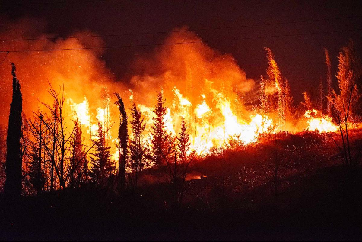 FOTO: Kebakaran Hutan Saat Gelombang Panas Ekstrem di Turki, Ribuan  Dievakuasi