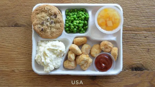 bekal sekolah di seluruh dunia (foto: boredpanda)