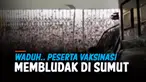 THUMBNAIL vaksin