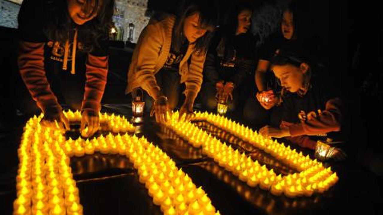 Earth Hour bisa hemat biaya PLN hingga Rp 660 juta