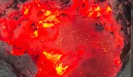 Dari NTB hingga Lampung, Polri Kerahkan Personel Tangani Kebakaran Hutan