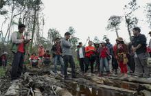 Anggota DPR Desak Penghentian Deforestasi Hutan Sumatera Utara di Dairi: Mengapa Ini Mendesak?