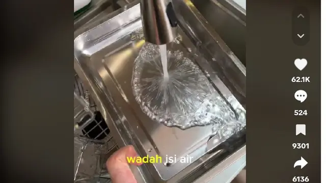 Bukan Daun Salam, Ini Trik Usir Kutu Beras dengan 1 Bahan Dapur