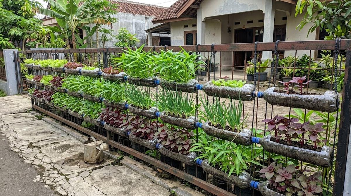 Vertical Garden dari Susunan Botol Bekas
