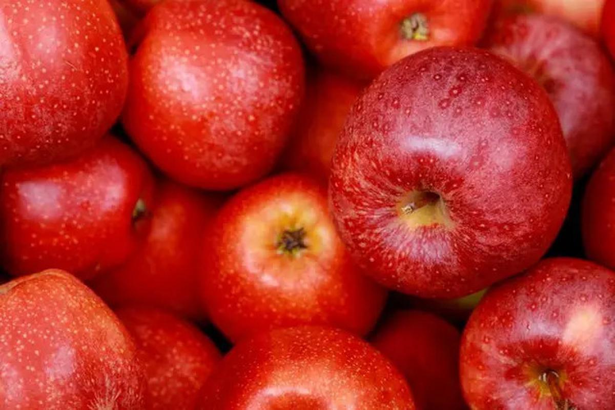 5 Makanan yang Sebaiknya Tidak Dicampur dengan Chia Seed, Bisa Bahayakan Kesehatan