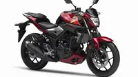 Begini Tampang Yamaha R3 Edisi Telanjang 