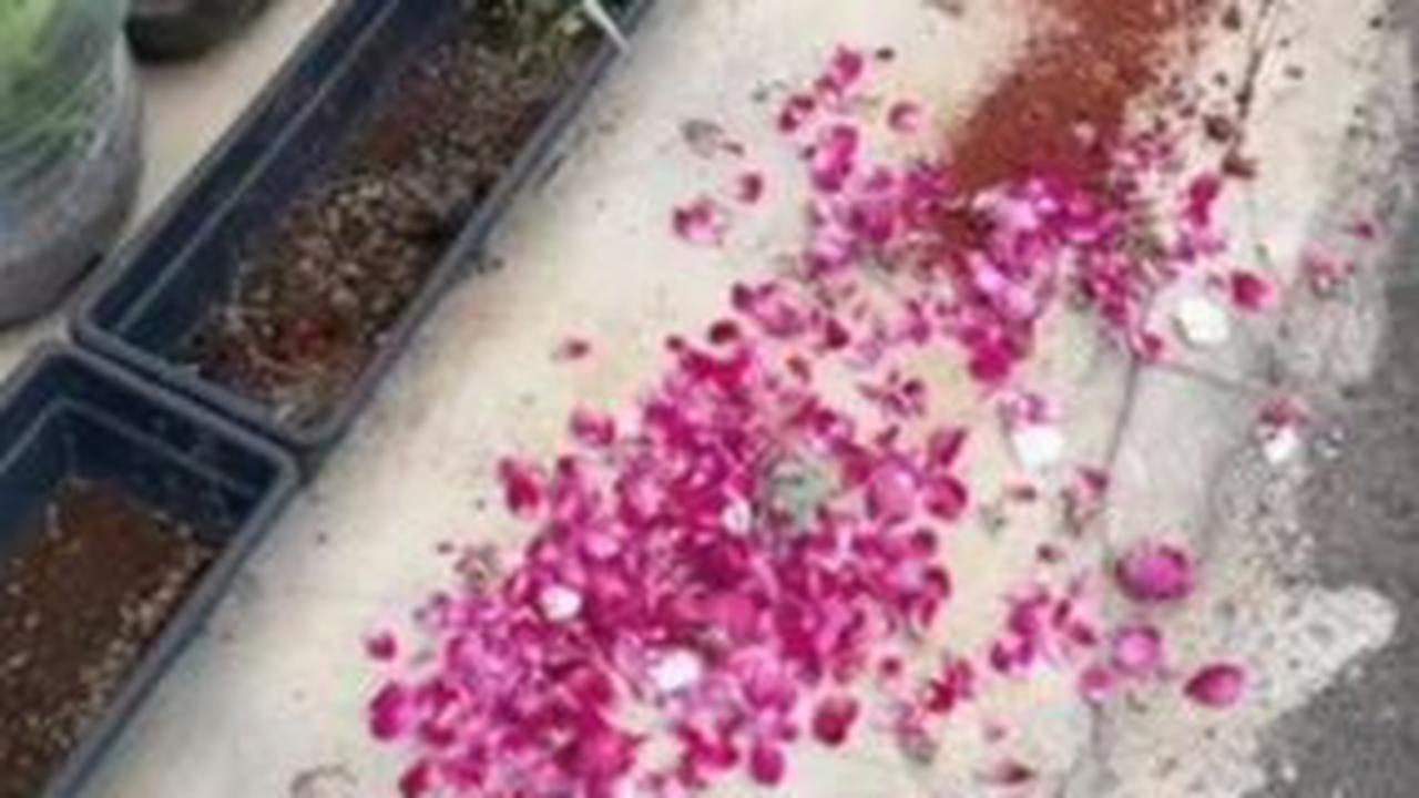 Viral Rumah Wanita Ini Dapat Kiriman Taburan Bunga dan Tanah, Bikin Penasaran