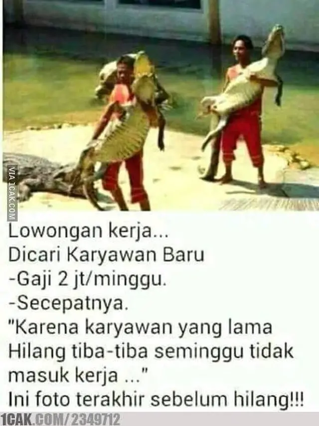 6 Meme Kocak Lowongan Kerja Ini Bikin Senyum Nyengir Hot