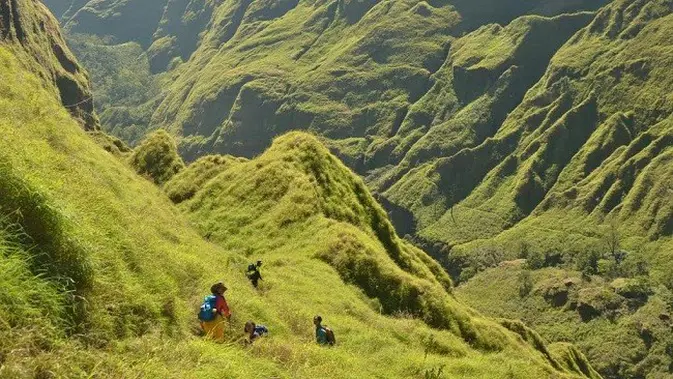 <p>Meski tidak sepopuler jalur pendakian Senaru dan Senalun, Torean oleh masyarakat lokal kerap digunakan “jalan singkat” untuk langsung sampai ke Danau Segara Anak di Gunung Rinjani. Foto: Andi Jatmiko/ Liputan6.com.</p>