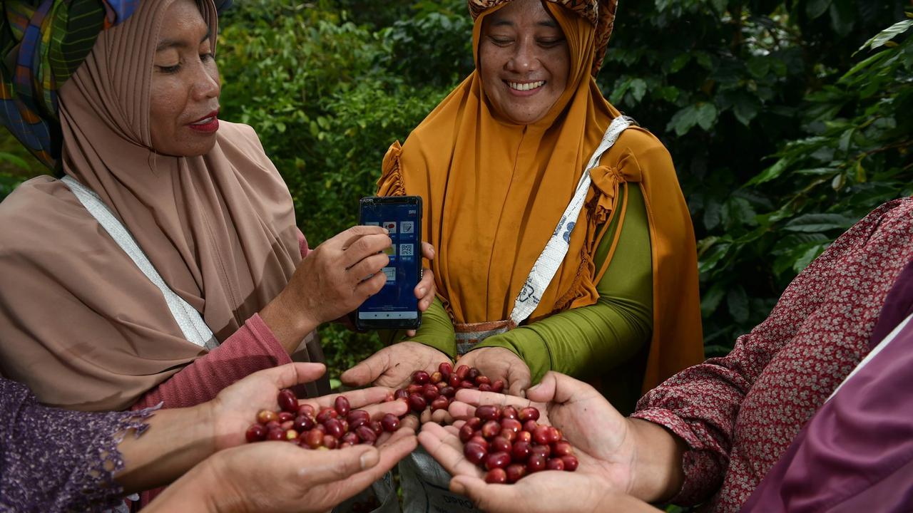 BRI Salurkan KUR Rp65,95 Triliun, Jangkau 558 Ribu Petani & 23 Ribu Nelayan per April 2026