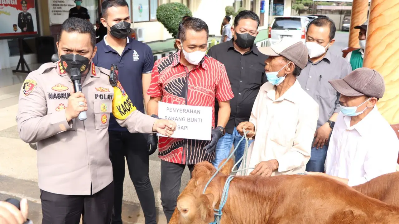 Kapolresta Banyuwangi Kombes Pol Nasrun Pasaribu (Kanan)  serahkan kembali sapi hasil curian kepada pemiliknya. (Istimewa)