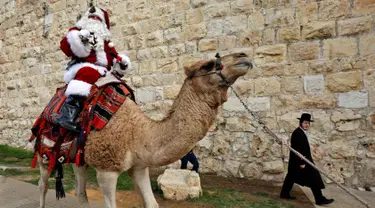 Seorang pria mengenakan busana seperti Santa Claus mengendarai unta di sepanjang tembok Ottoman Kota Tua Yerusalem (21/12). Menyambut perayaan Natal pria tersebut menyapa para warga di atas unta yang berada di sekitarnya. (AFP Photo/Gali Tibbon)