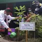 Wakil Wali Kota Malang, Sofyan Edi Jarwoko menanam pohon pule sebagai simbol gerakan penanaman pohon dan penghijauan di Kota Malang (Humas Pemkot Malang)