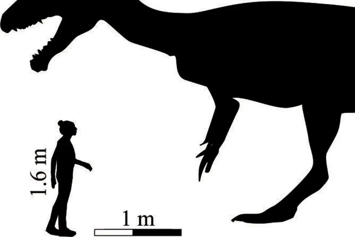 Ilmuwan Temukan Jejak Kaki Nenek Moyang T-Rex di Afrika