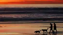 Warga membawa anjing saat berjalan di sepanjang pantai menikmati matahari terbenam di Cardiff, California (27/1/2016).  Wilayah Selatan California ini usai di landa Badai El Nino. (REUTERS/Mike Blake)