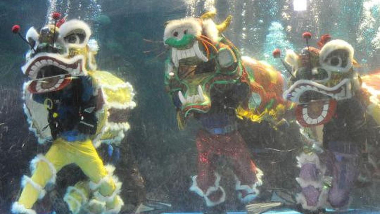 Atraksi Liong dan Barongsai hibur pengunjung Sea World Ancol