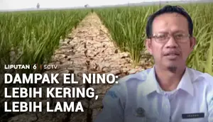 Dampak El Nino: Lebih Kering, Lebih Lama
