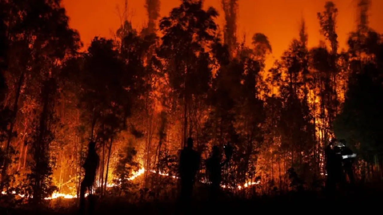 Kebakaran hutan di Chile