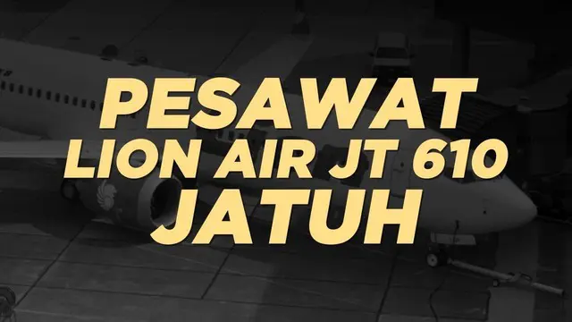 Berikut fakta dan data mengenai pesawat Lion Air JT 610 yang jatuh di perairan Karawang, Jawa Barat.