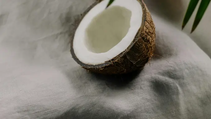 5 Manfaat Daging Kelapa untuk Kesehatan Tubuh yang Jarang Diketahui