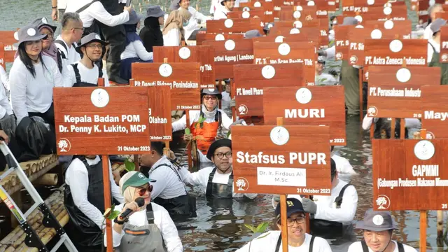 Konservasi Ekosistem Mangrove, BPOM Inisiasi Program Net Zero Carbon