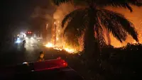 Kemarau Panjang Picu Kebakaran Lahan Gambut di Sejumlah Daerah