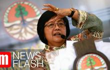 VLOG: Pengakuan Menteri Siti Nurbaya 5 Tahun Urus Kebakaran Hutan