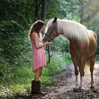 Ilustrasi Fabel Credit: pexels.com/Jennifer