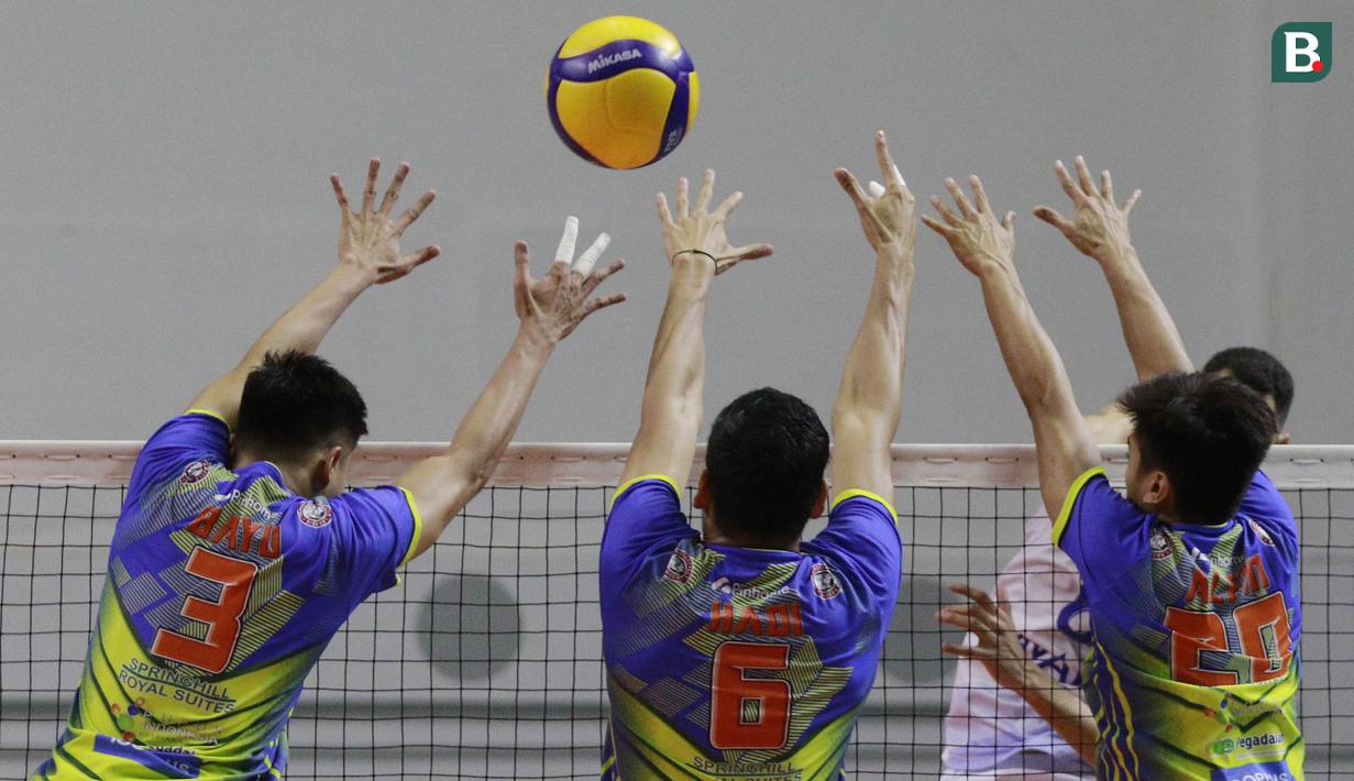 Tiga pemain Surabaya Bhayangkara Samator berusaha memblok bola saat melawan Bogor LavAni pada laga final four PLN Mobile Proliga 2022 di Padepokan Bola Voli Sentul, Jawa Barat, Sabtu (12/3/2022). Samator menang dengan skor 3-2 (21-25, 22-25, 27-25, 25-21, 15-12) (Bola.com/M Iqbal Ichsan)