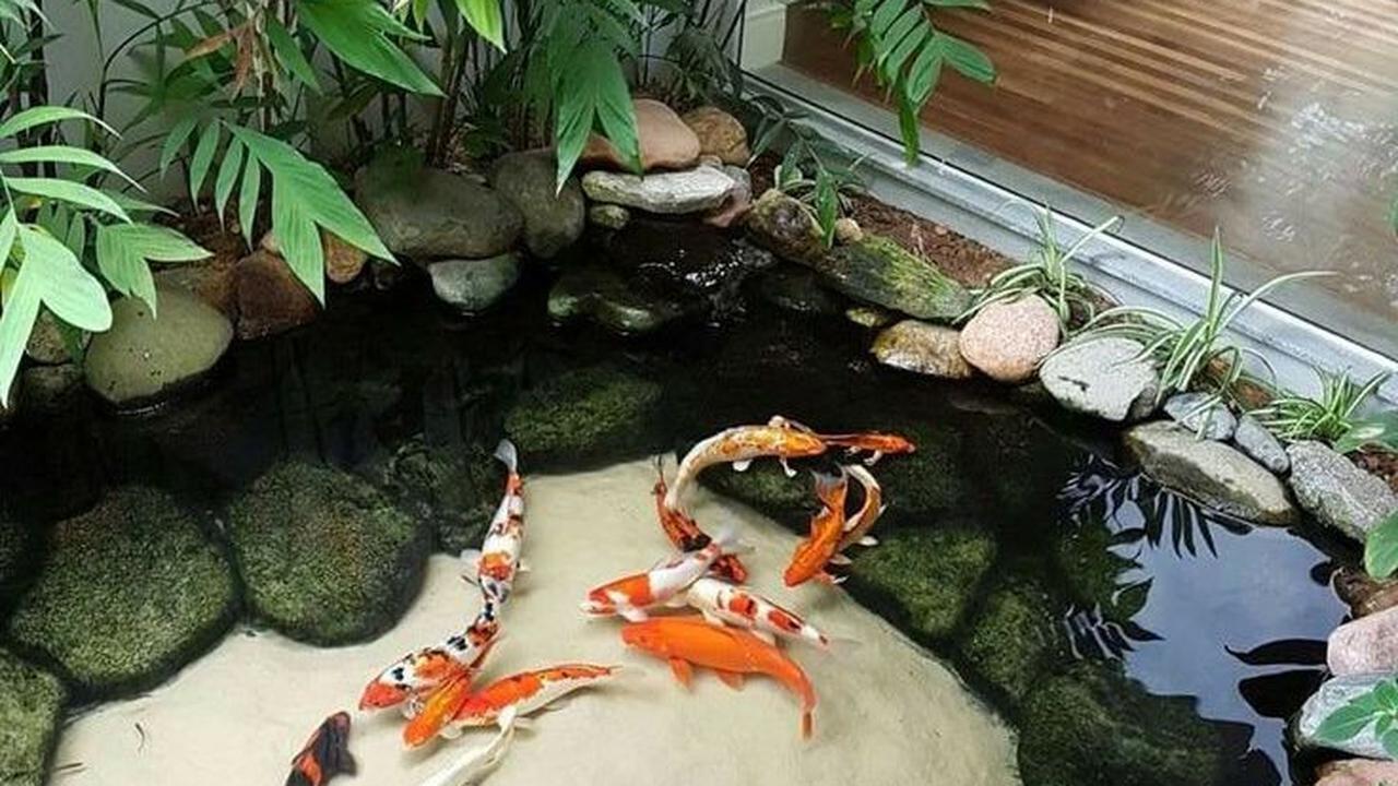 7 Desain Kolam Ikan Koi di Rumah yang Bikin Hunian Makin Adem