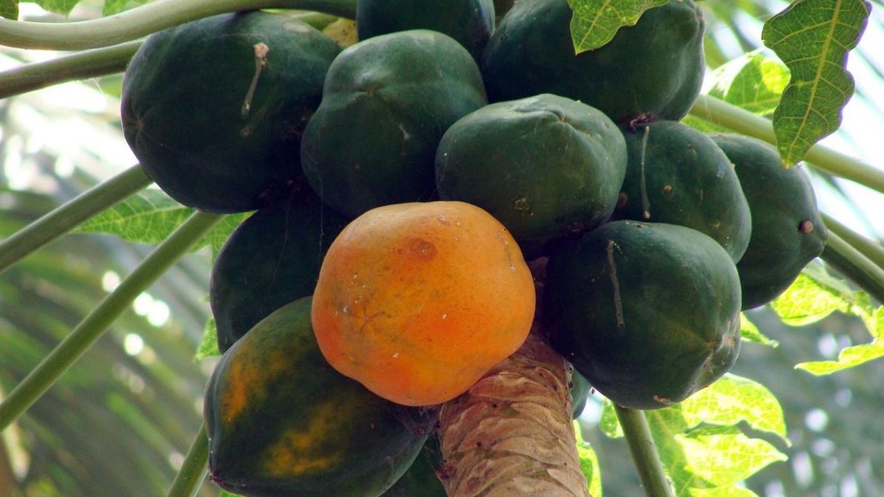 3. Datangkan makhluk halus