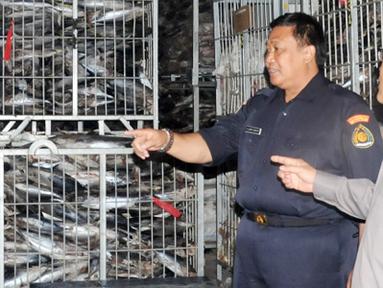 Citizen6, Jakarta: PT. KMC menyalahi periizinan karena memakai sertifikasi pelepasan makarel padahal fakta yang ditemukan di lapangan berupa ikan kembung banjar. (Pengirim: Efrimal Bahri)