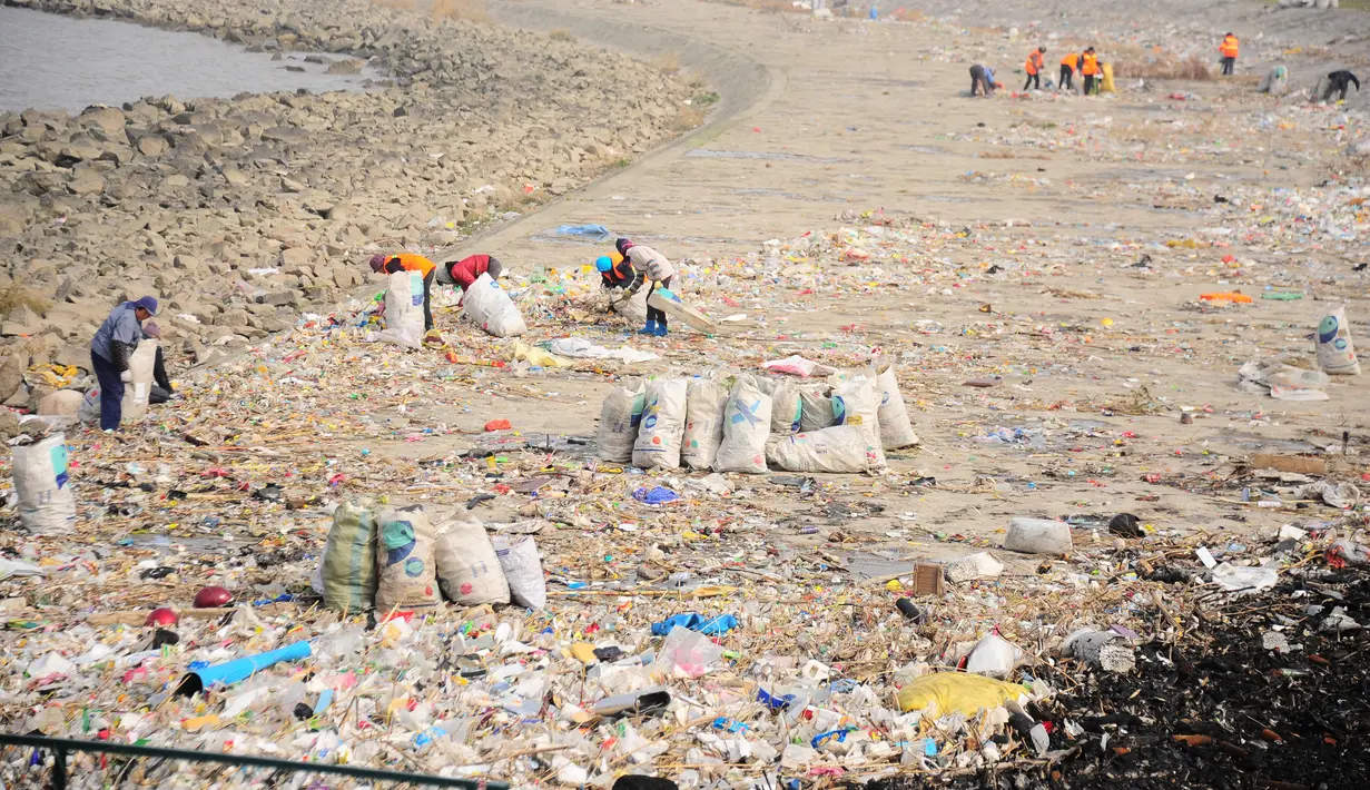Warga membersihkan tumpukan sampah di sekitar Sungai Yangtze, Taicang, Jiangsu, Tiongkok (23/12). Pulau yang berada dekat Shanghai ini berubah menjadi lautan sampah yang diperkirakan mencapai 100 ton. (REUTERS/Stringer)