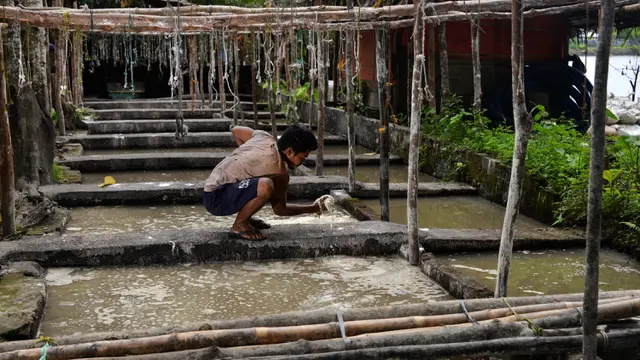 Produksi Tepung Sagu